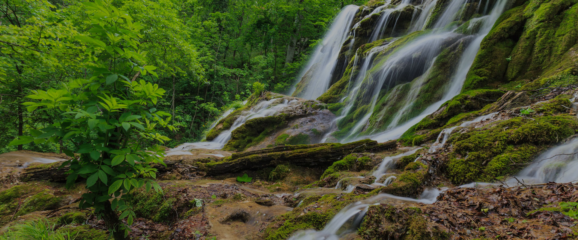 slider 1 autorizatii de mediu